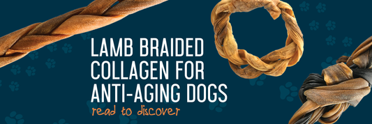 Lamb Braided Collagen For Anti-Aging Dogs