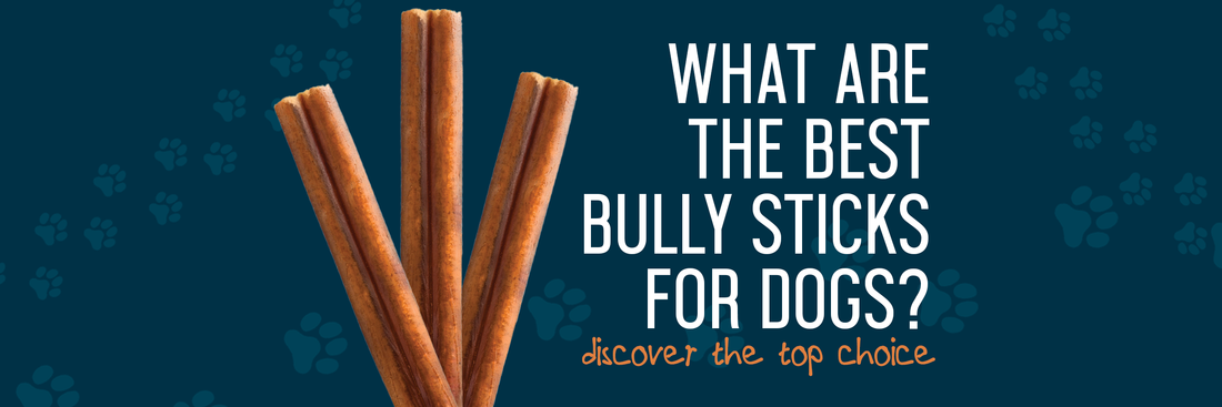 What Are The Best Bully Sticks For Dogs?
