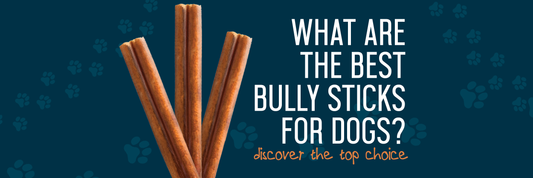 What Are The Best Bully Sticks For Dogs?