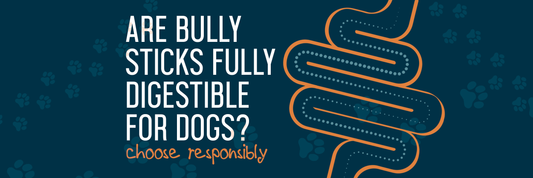 Are Bully Sticks Fully Digestible For Dogs?