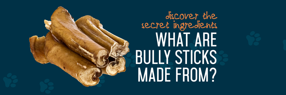 What Are Bully Sticks Made From?