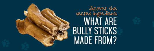 What Are Bully Sticks Made From?