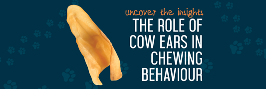 The Role Of Cow Ears In Chewing Behavior