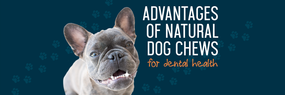 The Advantages of Natural Dog Chews for Dental Health