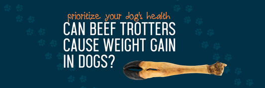 Can Beef Trotters Cause Weight Gain In Dogs?