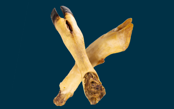 FEET