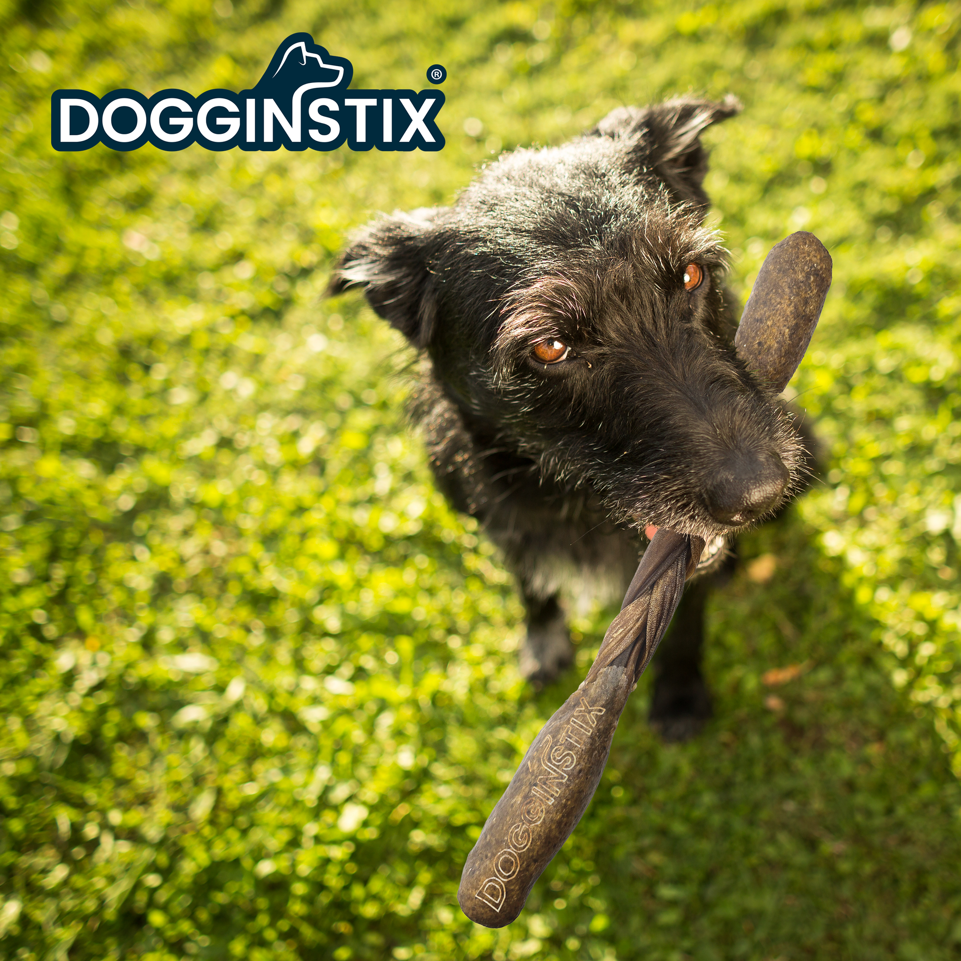 DogginStix Barbell Lamb Collagen dog chew – natural lamb collagen treat shaped like a barbell for joint support and healthy chewing