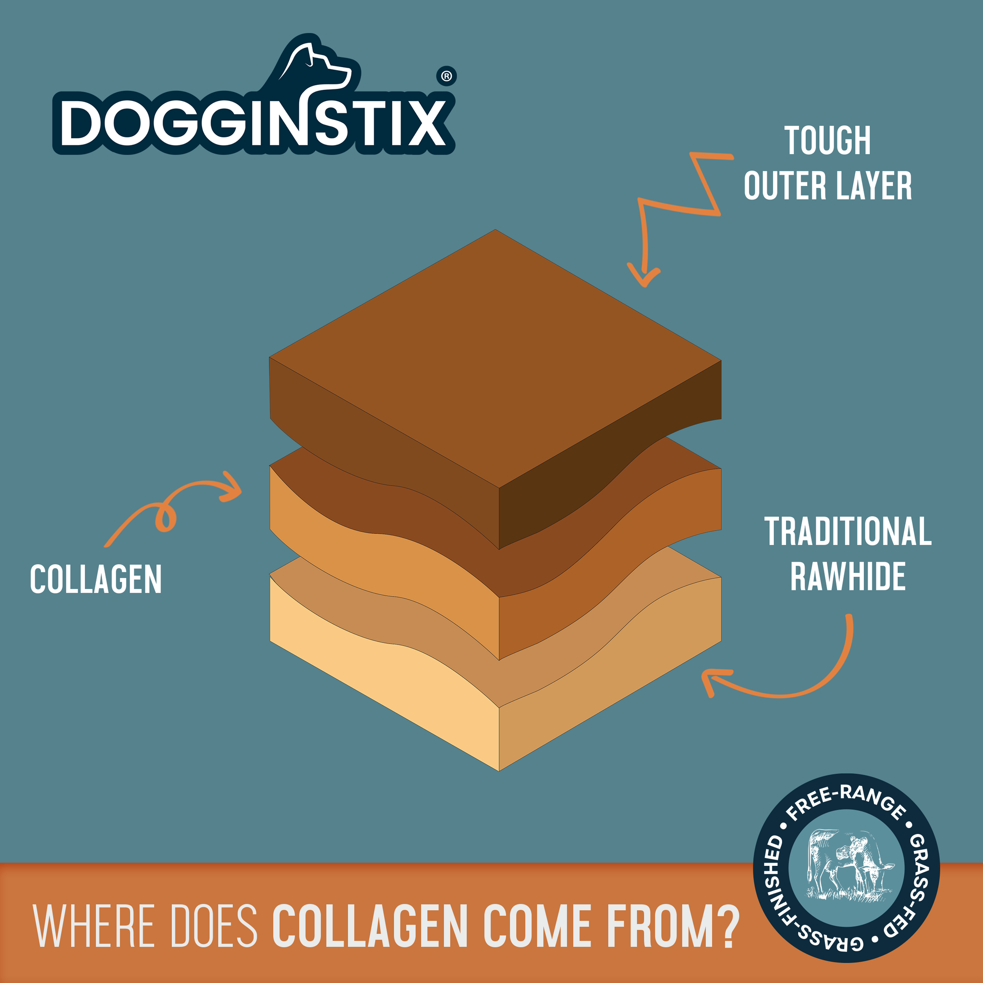 DogginStix Barbell Lamb Collagen dog chew – natural lamb collagen treat shaped like a barbell for joint support and healthy chewing