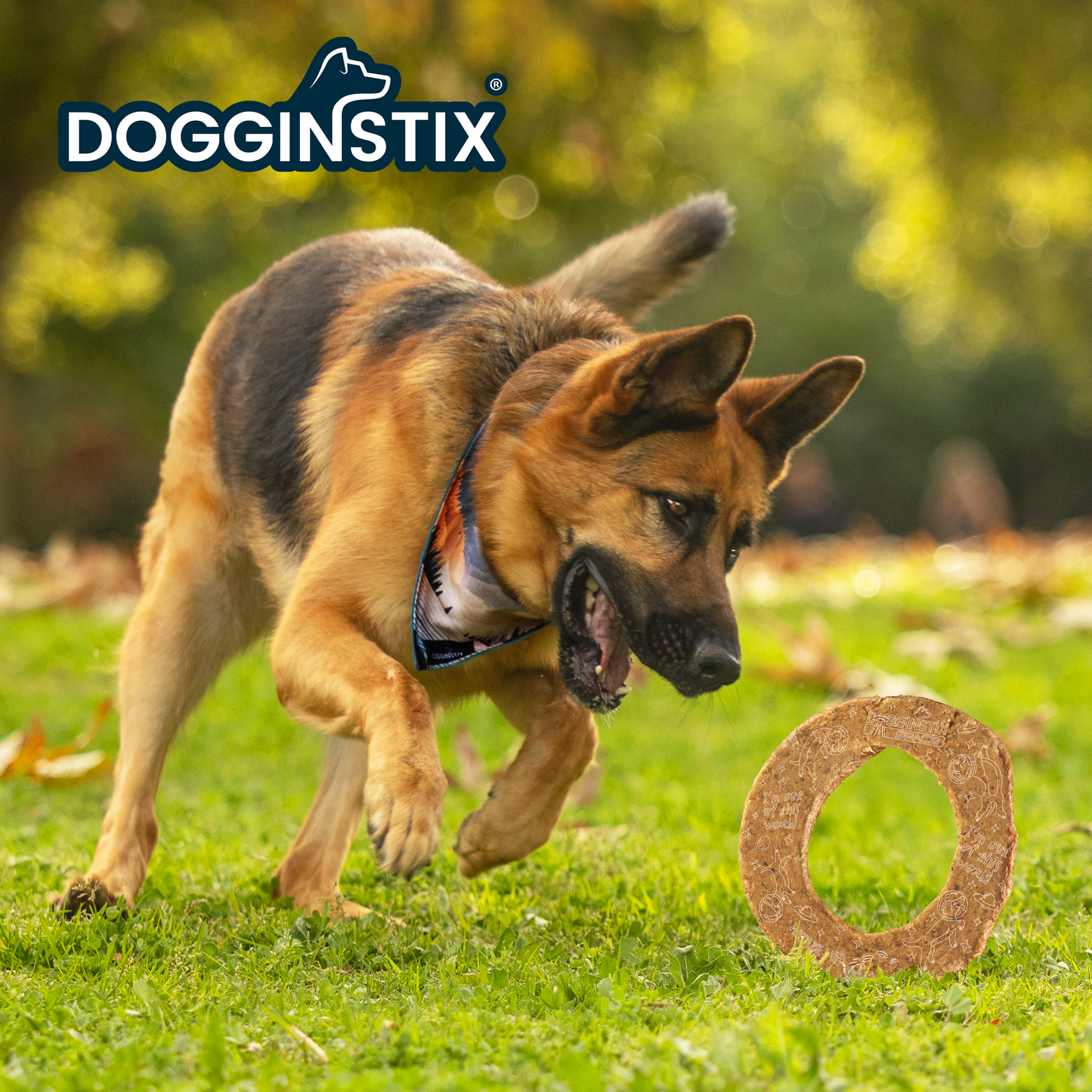 DogginStix Lamb Collagen Cosmic Donut – ring-shaped dog chew made from natural lamb collagen for healthy joints and fun chewing