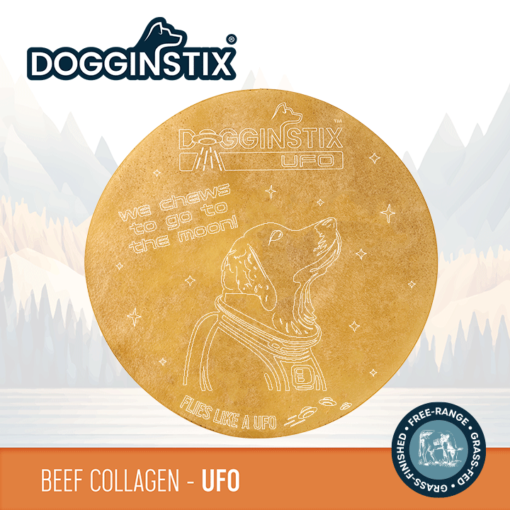 Beef Collagen - UFO - Case of 24