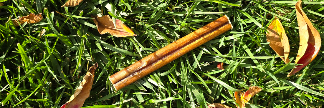 6-Inch Bully Sticks: The Single-Ingredient, High-Protein Chew Dogs Love