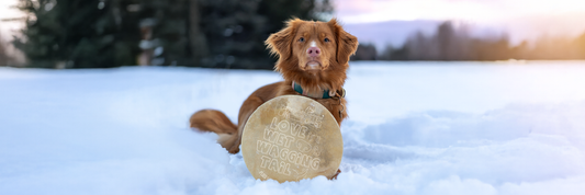 Dogginstix Beef Collagen Chews: Premium Collagen Sticks Dogs Love