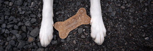 Dogginstix Single Ingredient Dog Chews | Natural Lamb and Beef Chews for Dogs