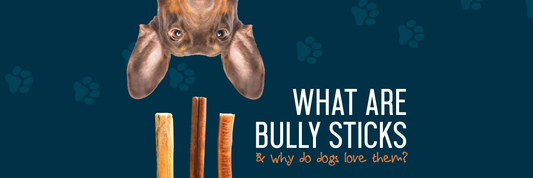 wholesale bully sticks for dogs