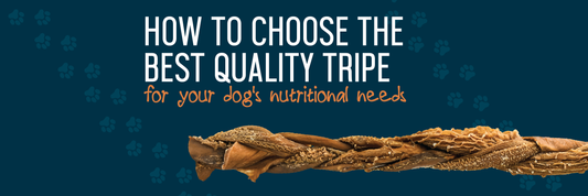 tripe for dog