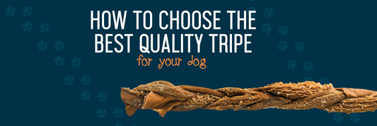 How to Choose the Best Quality Tripe for Your Dog