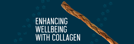 Blog post about The Science of Collagen for Dogs: Enhancing Wellbeing with Collagen Sticks for Dogs