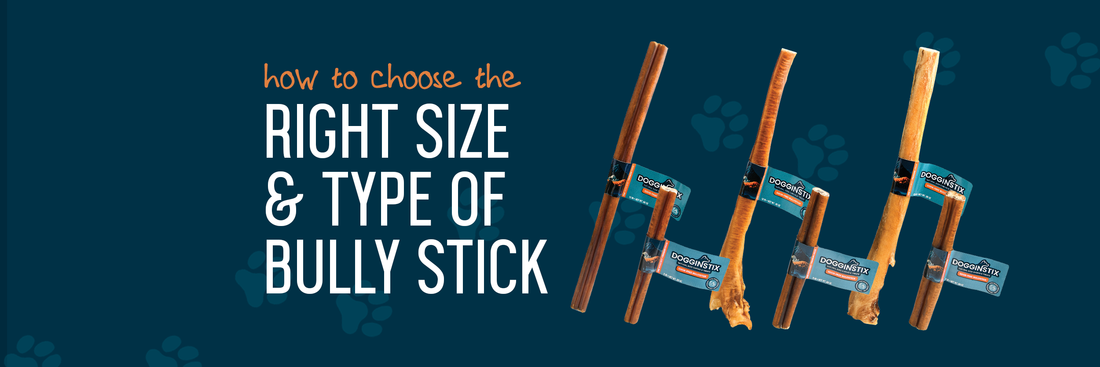 How to Choose the Right Size and Type of Bully Stick for Your Dog