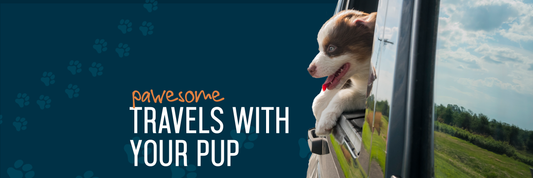 Pawesome Travels with Your Pup: Why Pizzle Sticks for Puppies are Your Secret Weapon!