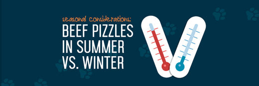 Seasonal Considerations: Beef Pizzles in Summer vs. Winter