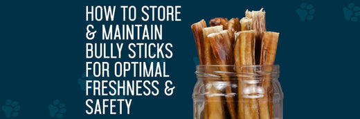 How to Store and Maintain Bully Sticks for Optimal Freshness and Safety