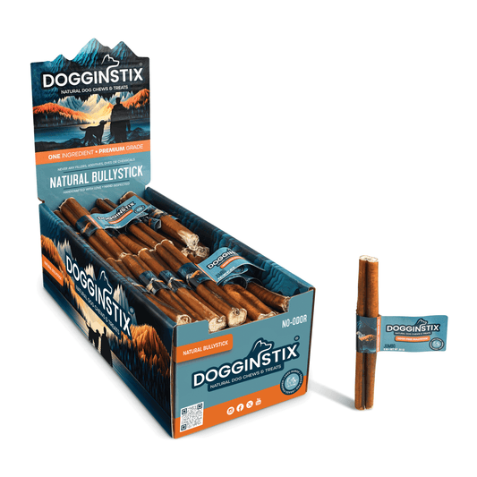 Bully Sticks 6" Jumbo - Case of 75