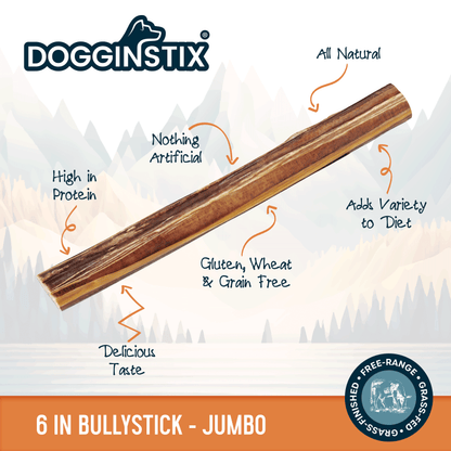 Bully Sticks 6" Jumbo - Case of 75