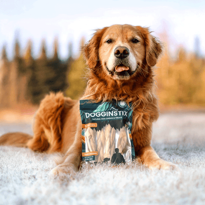 Braided Lamb Collagen 6" (5 Pack Bag) - Case of 12