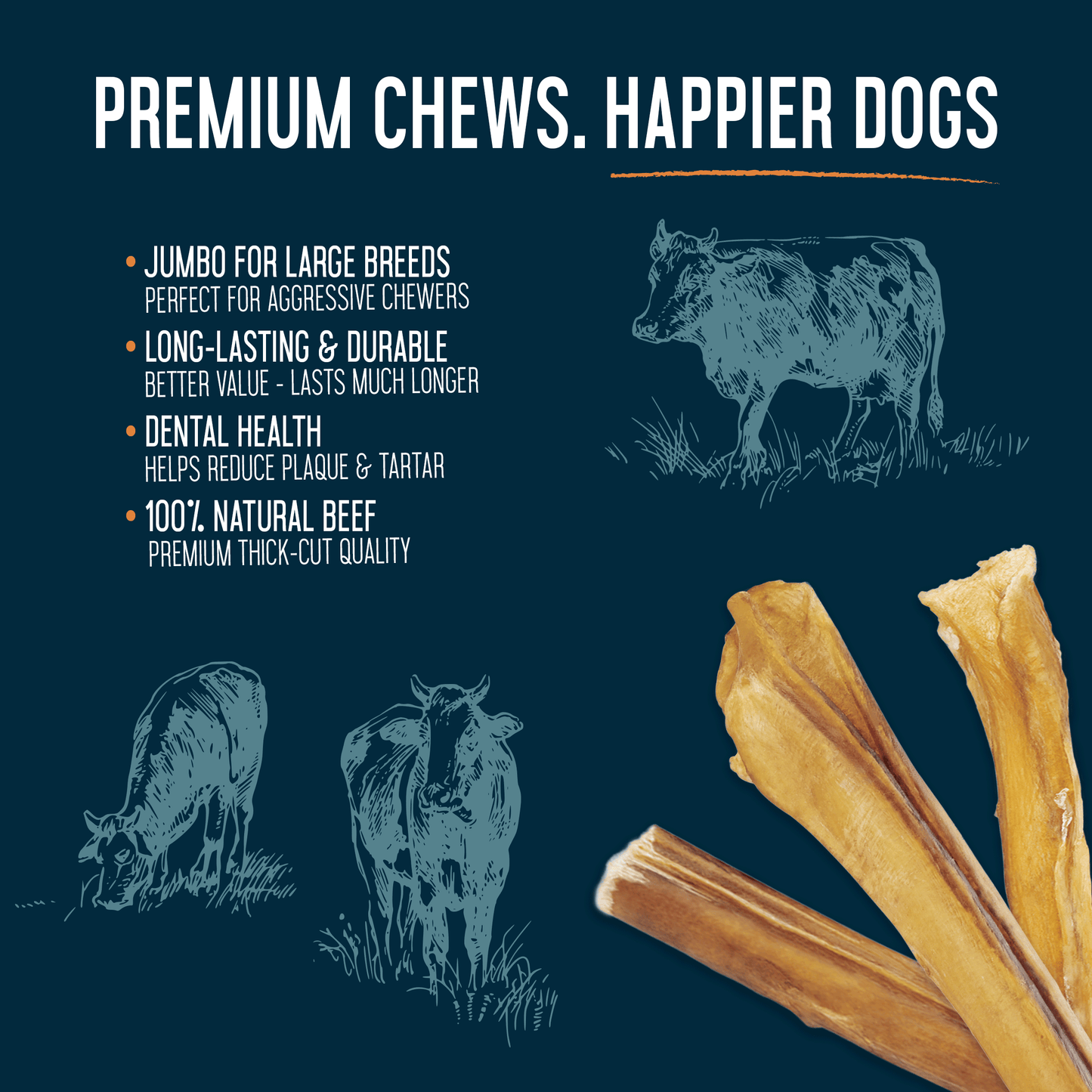 Bully Sticks 12" Jumbo - Case of 25