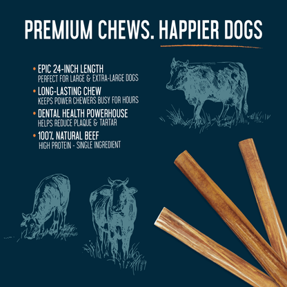 Bully Sticks 24" Cane- Case of 25
