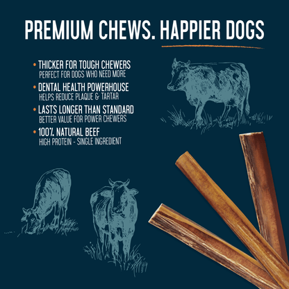 Bully Sticks 6" Jumbo - Case of 75