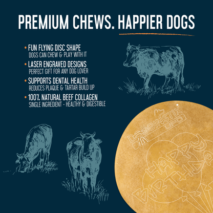 Beef Collagen - UFO - Case of 24