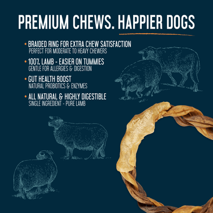 Braided Lamb Collagen Ring - Case of 40