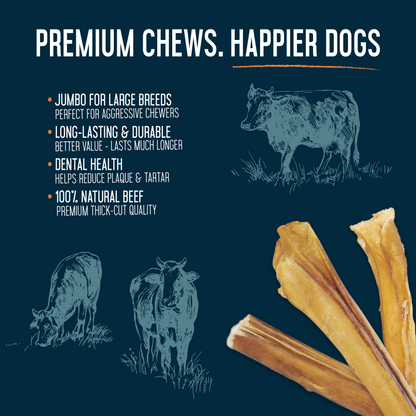 Bully Sticks 12" Jumbo (2 Pack Bag) - Case of 12