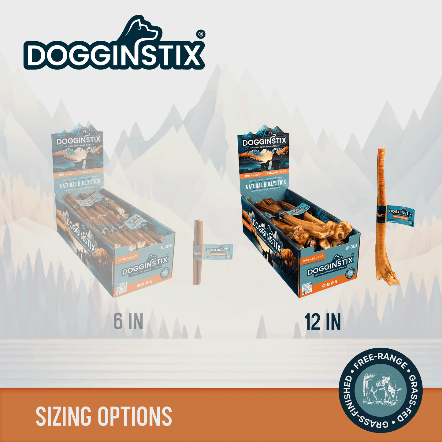 Bully Sticks 12" Jumbo - Case of 25