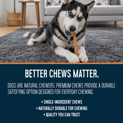 Bully Sticks 12" Jumbo - Case of 25