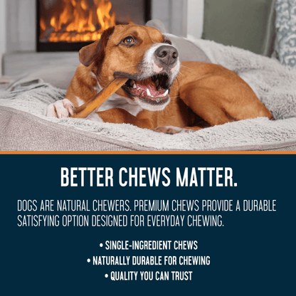 Bully Sticks 6" Monster- Case of 40