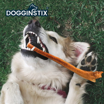 Bully Sticks 12" Jumbo - Case of 25