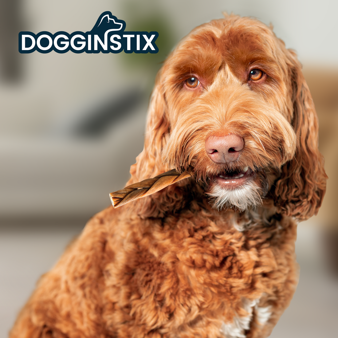 Doggin’ Stix Natural Chew Treats
